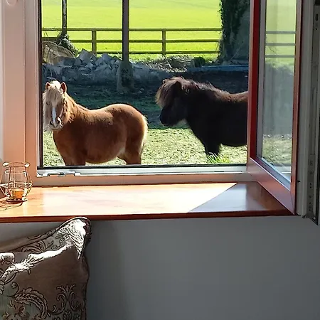 シャレー Glenrigh Luxury 2-bedroom