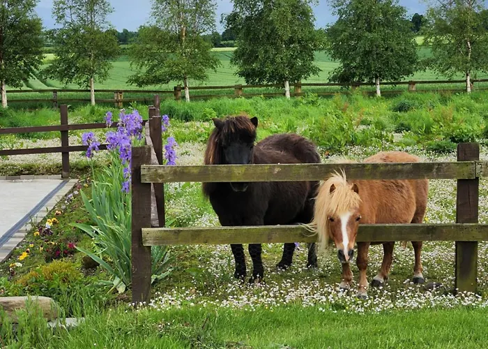 Chalé Glenrigh Luxury 2-bedroom